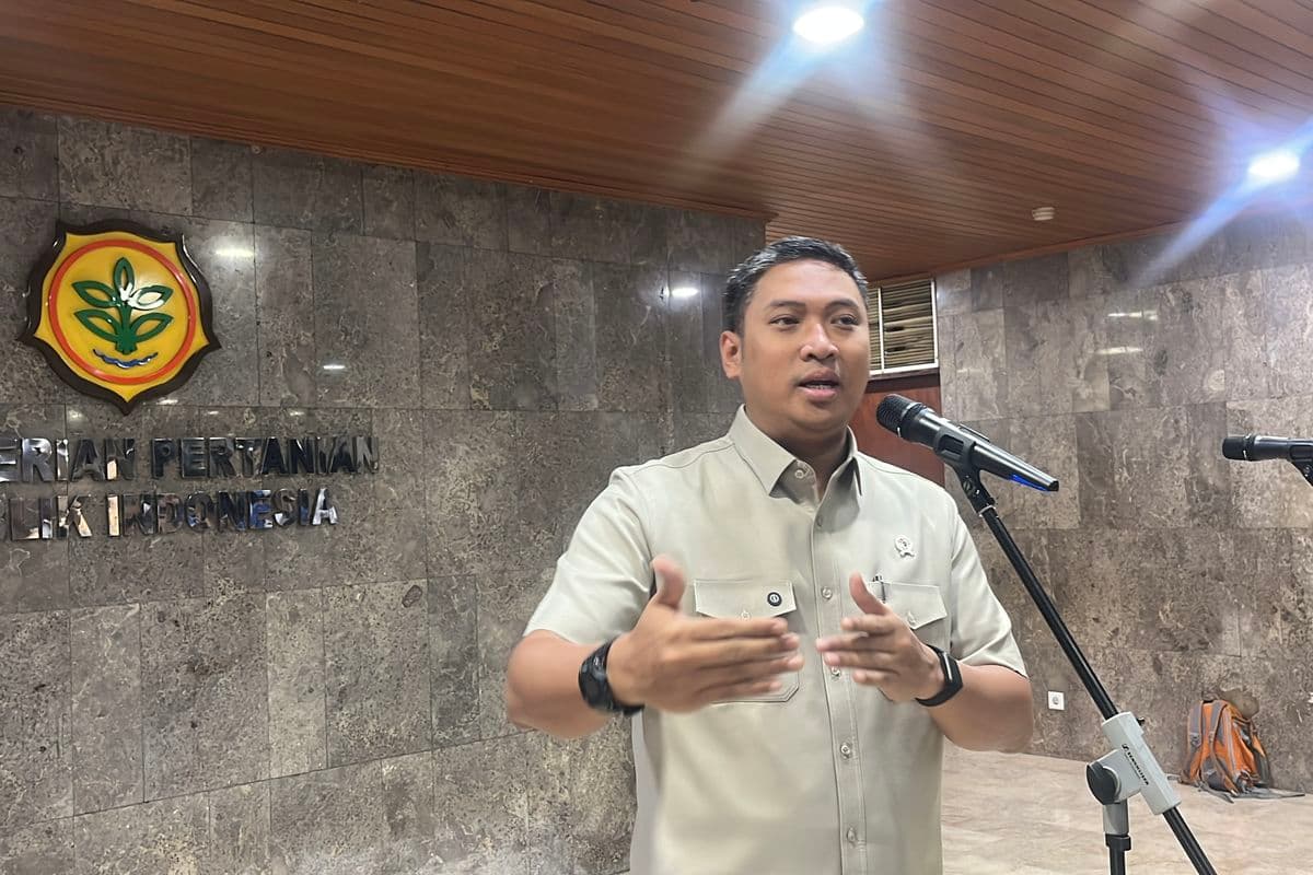Libur Sekolah Bikin Permintaan MBG Turun, Harga Ayam dan Telur Ikut Merosot